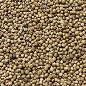 Semilla de cilantro