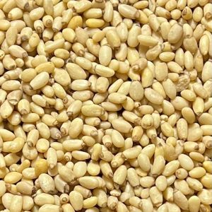 Piñon blanco caja c/10 kg