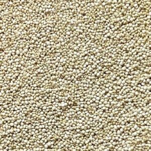 Quinoa bulto c/25 kg