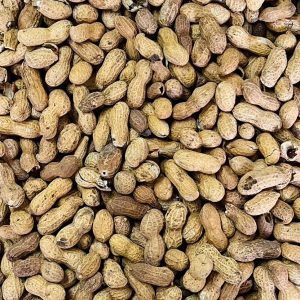 CACAHUATE C/CASCARA C/5 KG