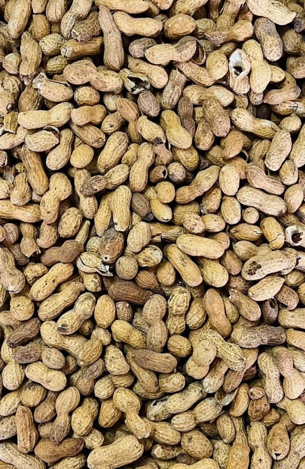 CACAHUATE C/CASCARA C/5 KG