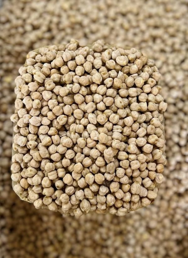 GARBANZO EXTRA C/25